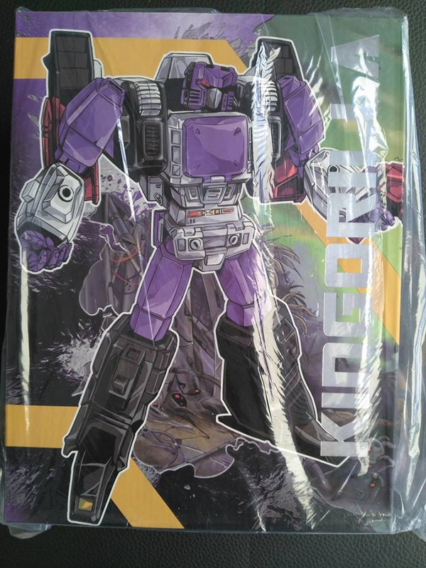 19420721_1398864373494665_607959980053169463_n