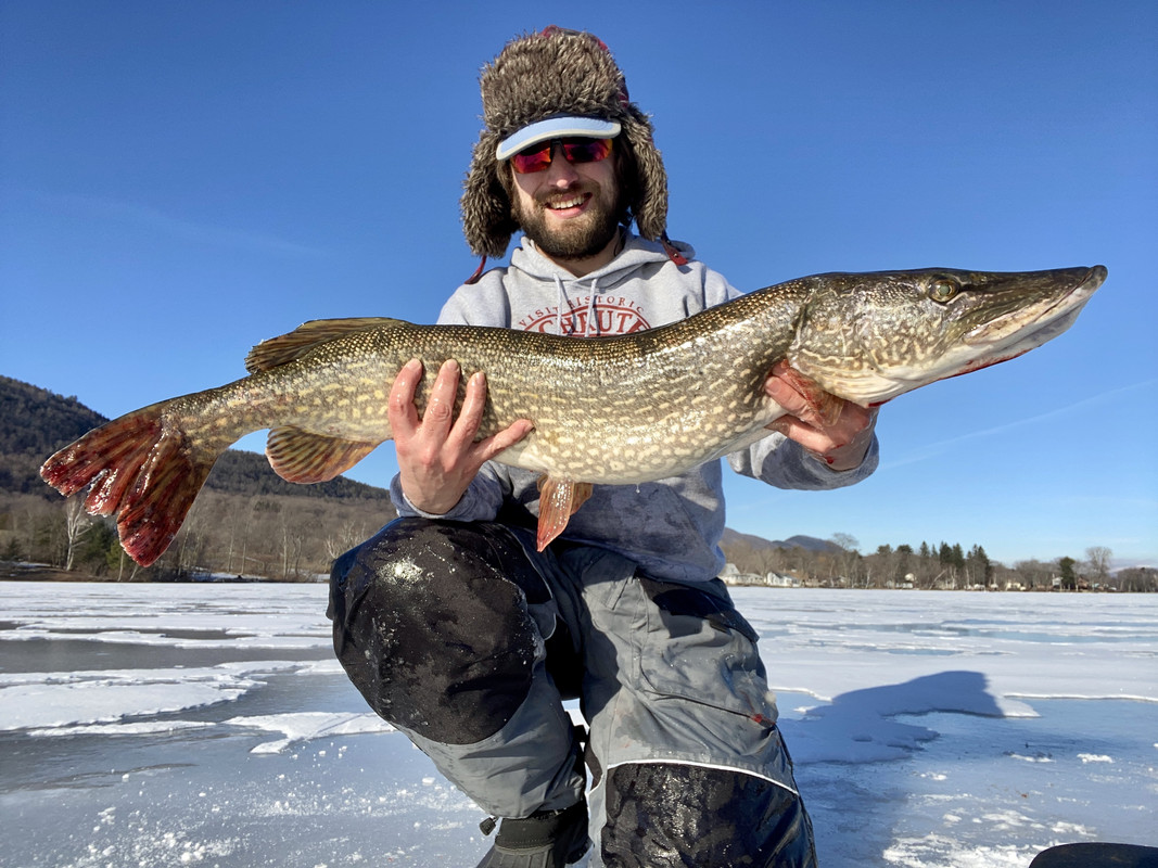 F16C65E9-632A-47F0-BD35-9C15F614FD58