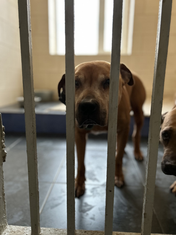 9AB05BC5-6701-4A54-9181-C08FF4CAF54C