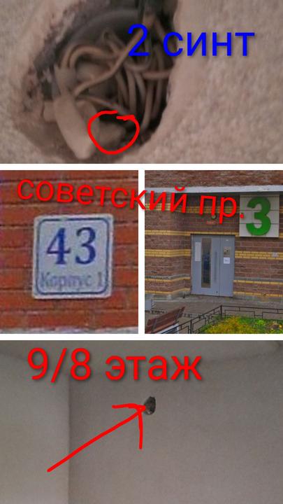 20251117 132323 COLLAGE 2