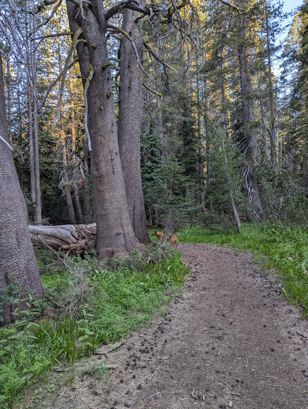 PXL_20250710_134443820