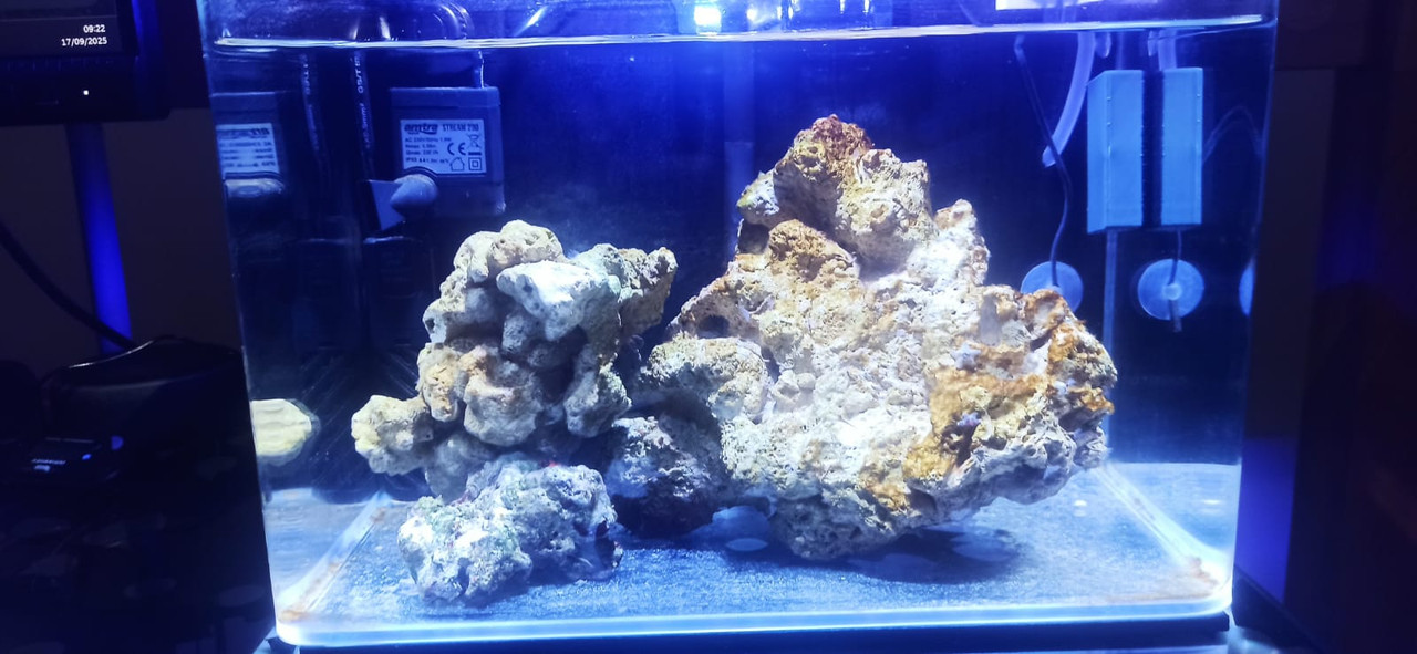 42bd1ec5-4fa3-4704-8eeb-105aa932961a