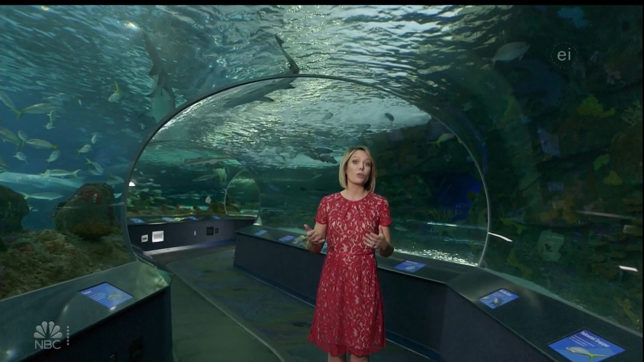 11.07 - 15.00.00 - Earth Odyssey With Dylan Dreyer. The world's smart....ts_snapshot_00.54.22.823