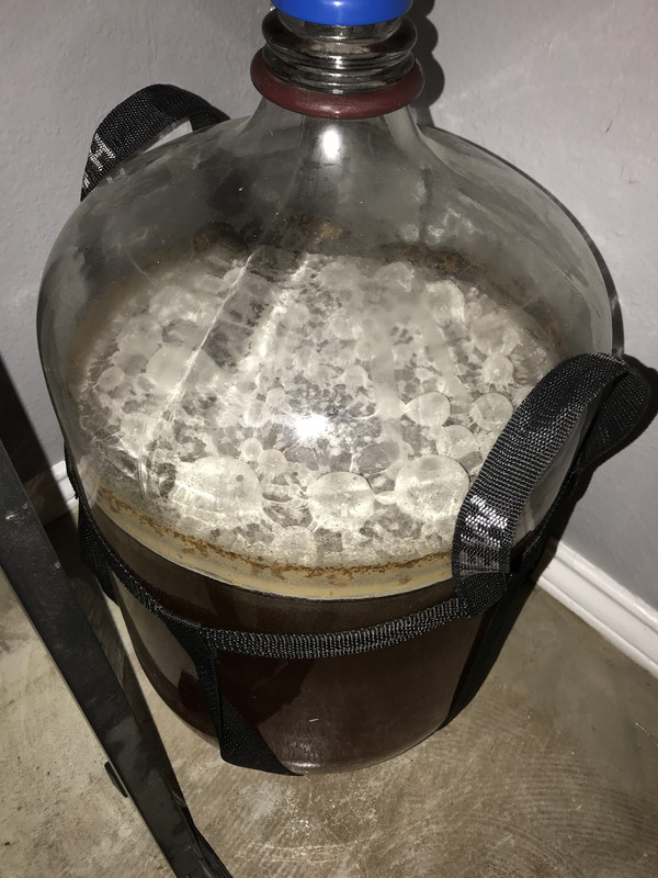 pellicle.jpg