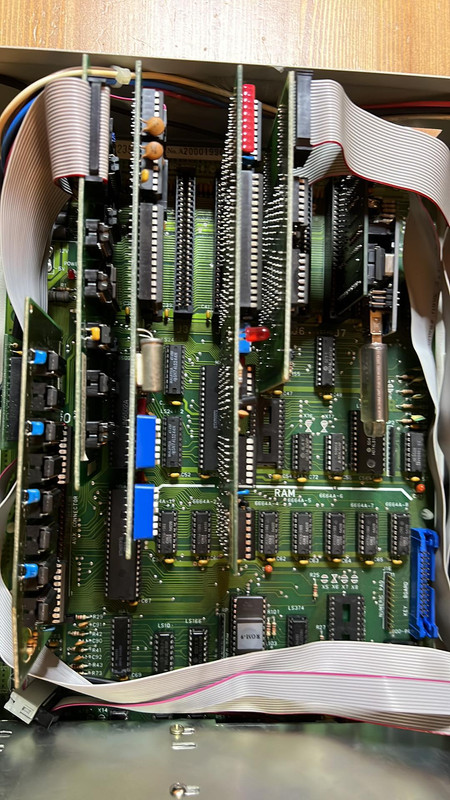 325542888_861570278485187_829611868419576964_n