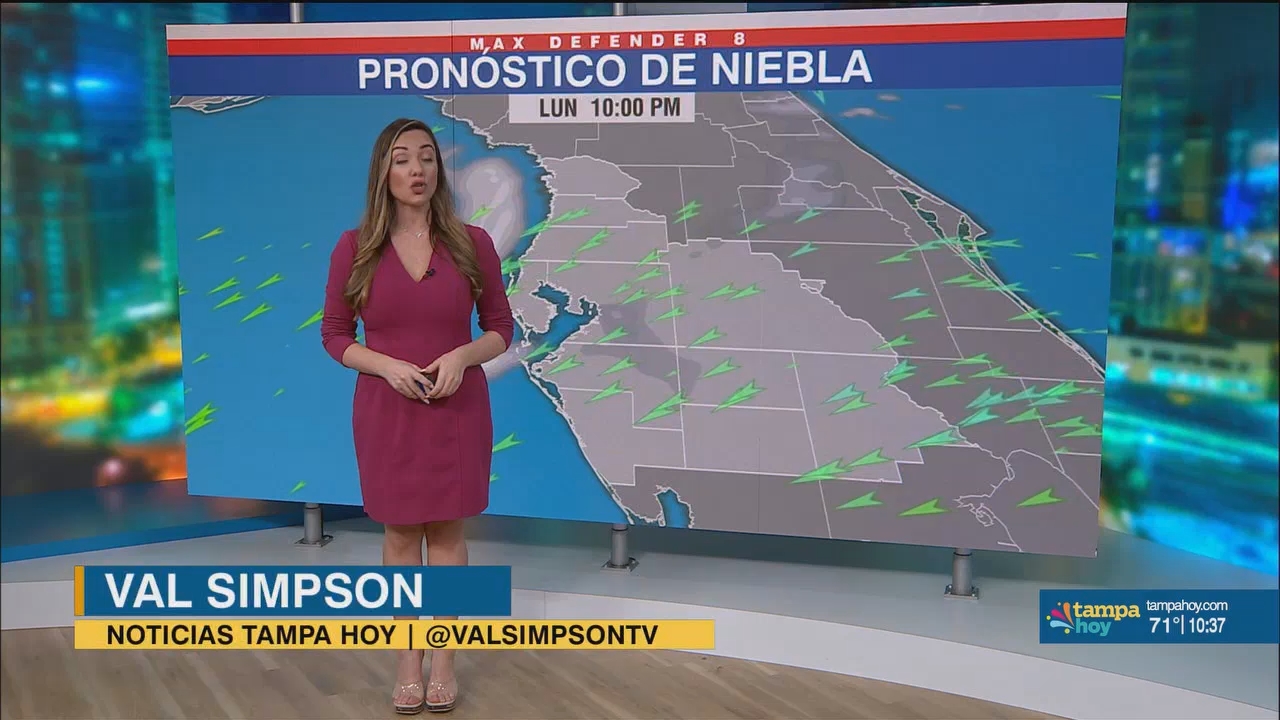 Noticias Tampa Hoy_20241217_03300400.ts_snapshot_08.20.435
