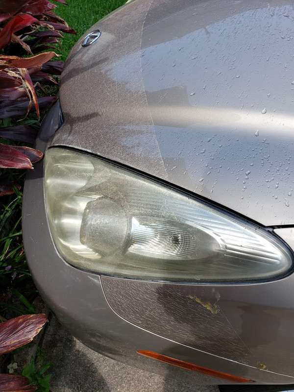 Vortex Ppf What are your thoughts on PPF - Good? Bad? | VW Vortex - Volkswagen Forum