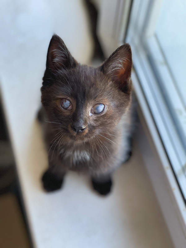 B42D0CC3-71B5-4576-AAFE-093974D28F3C