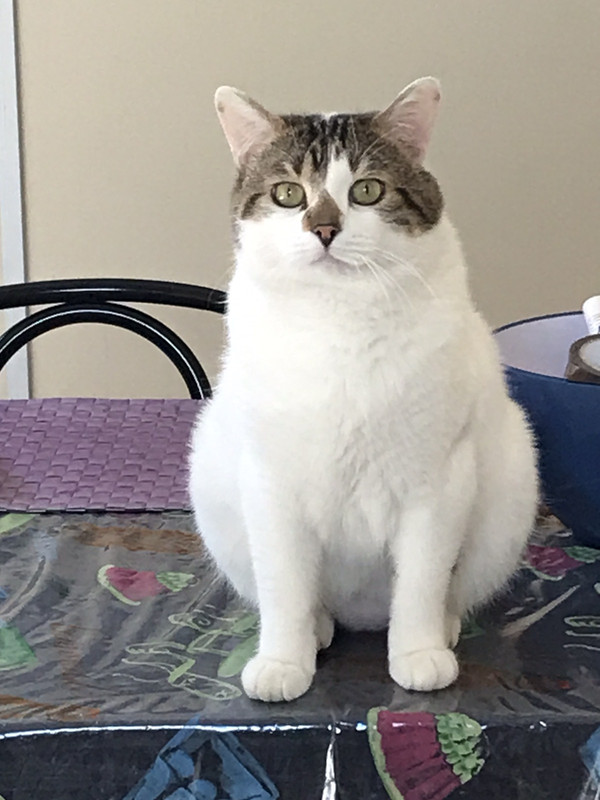 1CD02B8F-1F5A-490E-891A-B7C3106A6391