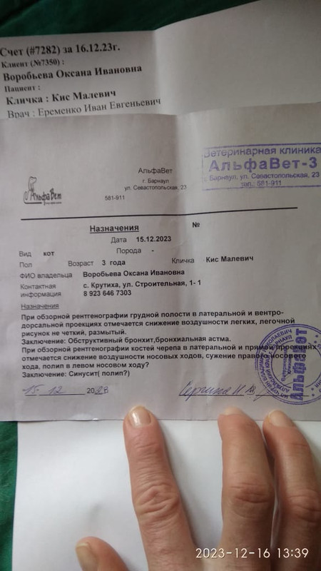 описание рентгена