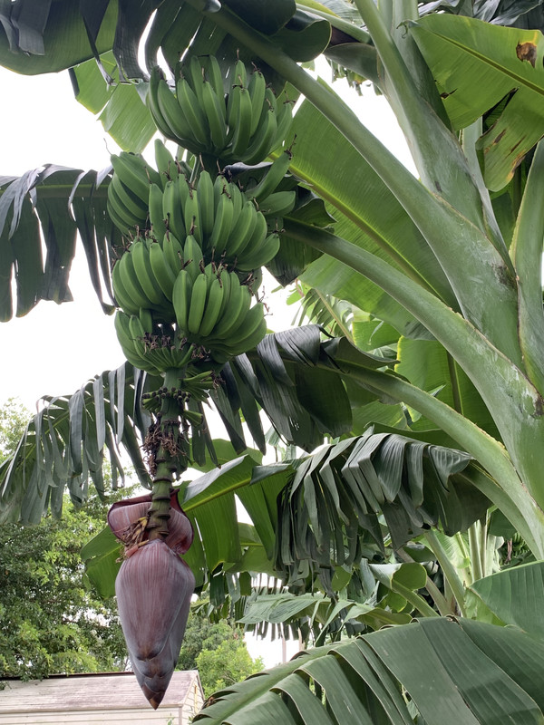 5AA98027-8035-43C0-9E79-1E7EFBE695DE