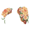 https://i.postimg.cc/m2vTnGX5/IMG-8904.webp