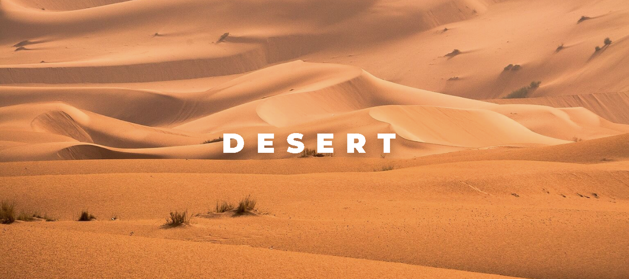 Hover Effect for Headers navigation layout