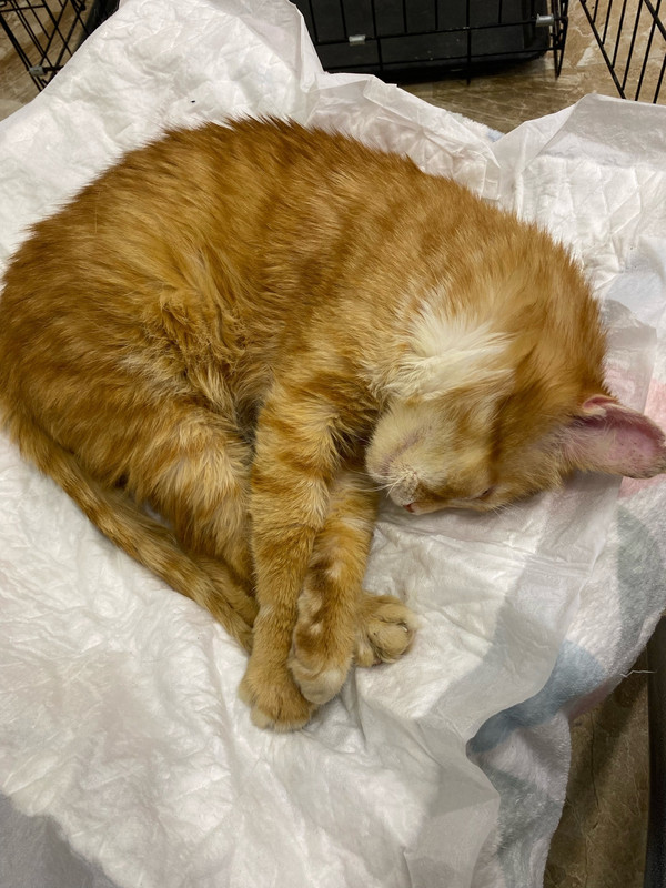 ghJ1KCxzjYAr0uqPIWKZtbLlcxJMeYLMhRPrxSlSnBFU57krp5JqEvQTTyIKna1LxvHOri-MQFb1yR734Sh2a2Pw-1