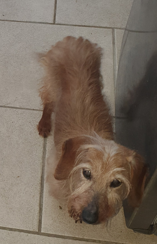 [Image: 20220127-134202.jpg]