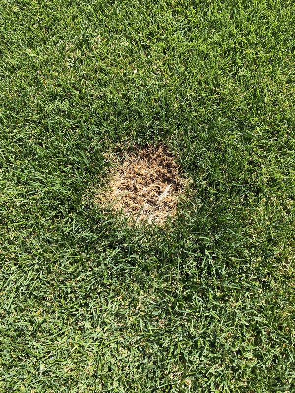 F9A266EB-27ED-4CA4-AC36-66A2F0D84F03