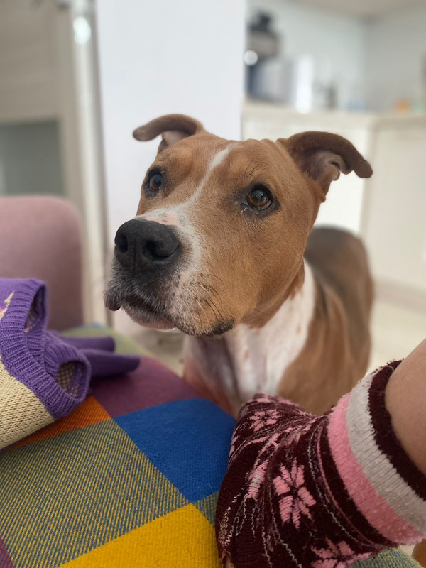 EF5C7010-1F2D-4C5E-B4AB-BEEDB902AC40