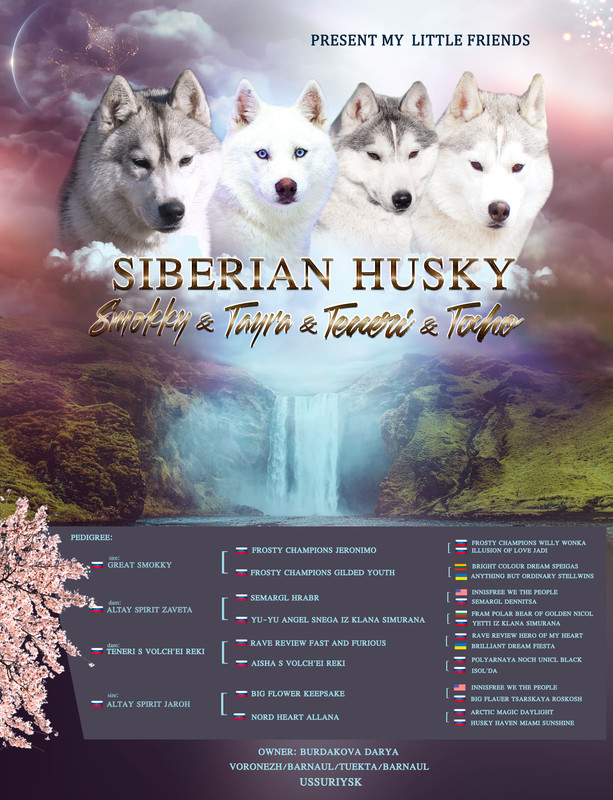 презент всех