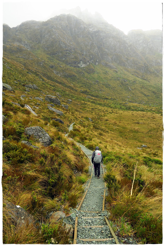 Escapadas y rutas por la Nueva Zelanda menos conocida - Blogs of New Zealand - Mt Aspiring NP / Fiordland NP: Routeburn Track (diciembre 2019) (15)