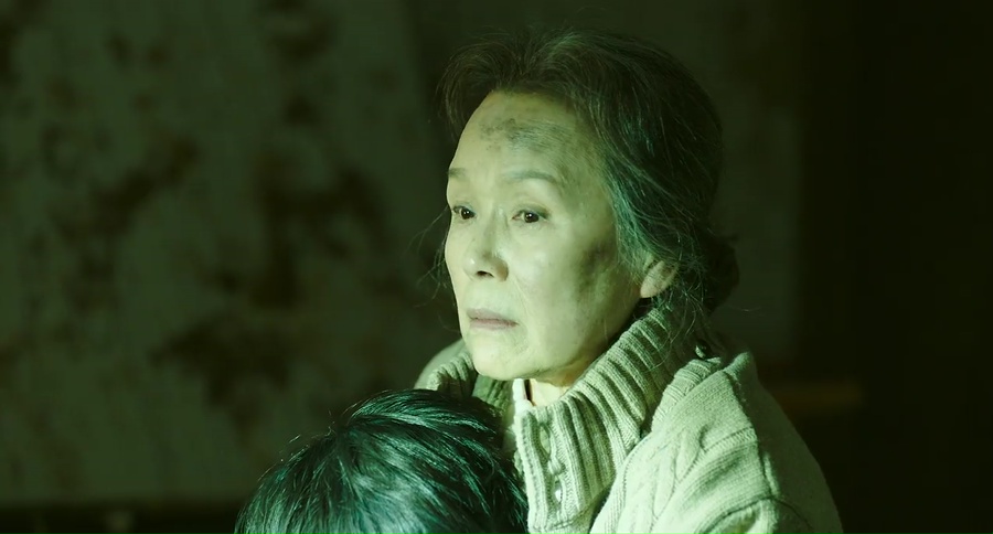 Sinkhole 2021 WebRip [Hindi + Korean] 480p, 720p ESub Screenshot