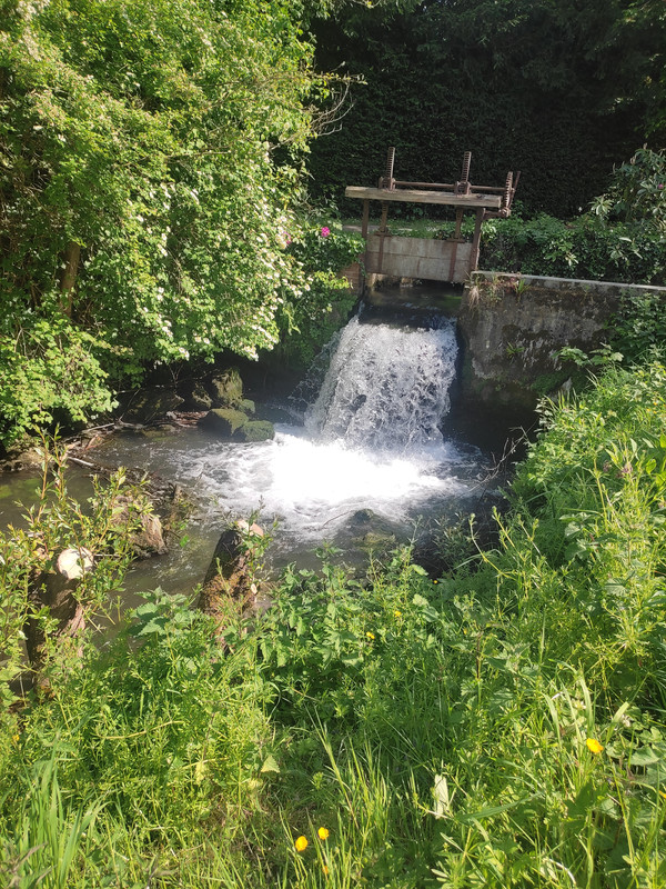 [Image: IMG-20250508-165158.jpg]