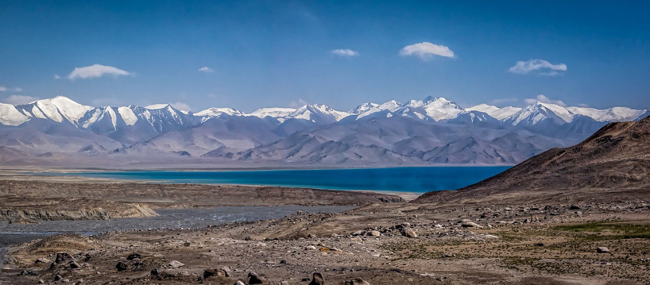 blue-Karakul.jpg