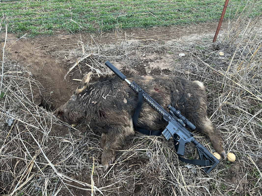 7FF2F3AF-7BC5-4C4B-BAEF-822CBD9E8FED