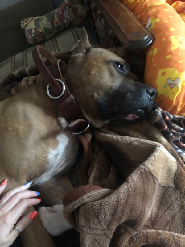 52DFA012-7762-479A-8A84-309CF2D64318