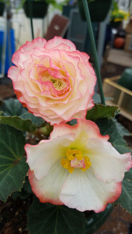 20190411_141059