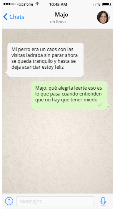 Testimonio 2