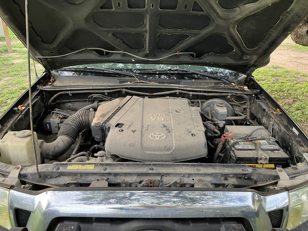 5C0519CA-4B56-4D0E-8C6B-7A0A2B8B7987