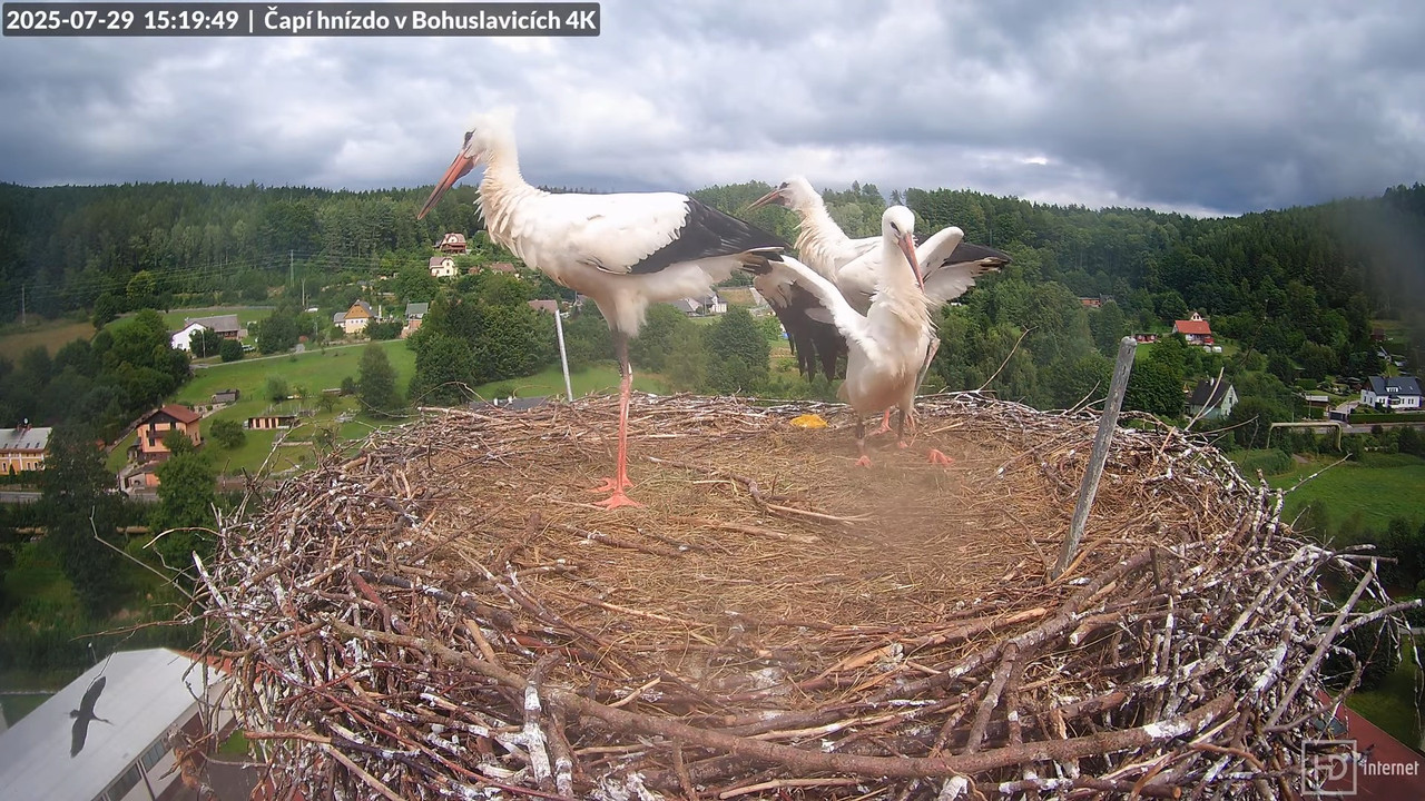 Tiešraide no KARA uzņēmuma stārķu skursteņa Bohuslavicē netālu no Trutnovas 7-53-32 screenshot (1)