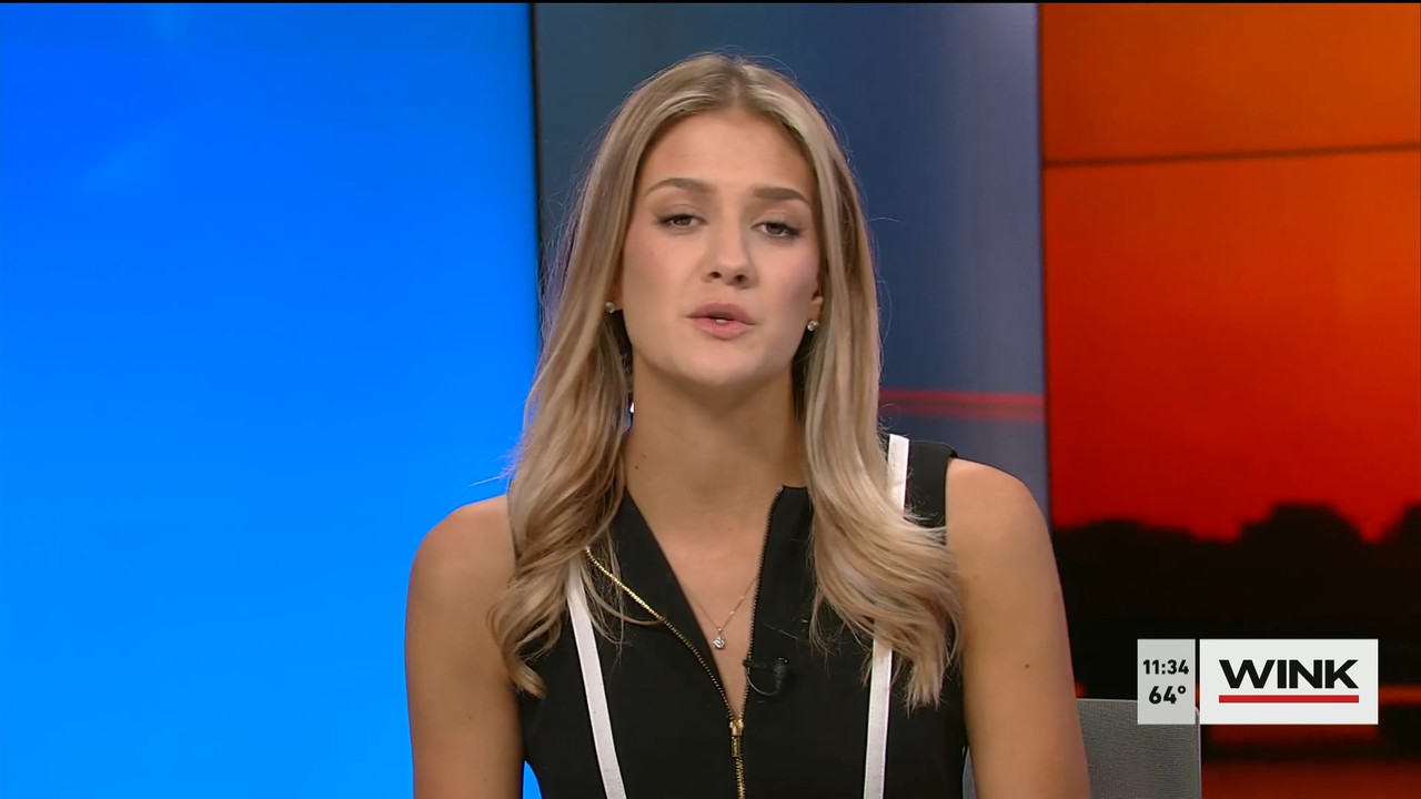 03.19 - 15.30.00 - WINK NEWS at 11 30am  ᴺᵉʷ. Midday news..ts_snapshot_10.10.476