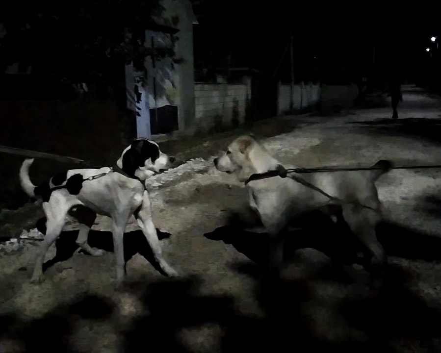 IMG_20201022_154319 - копия - копия