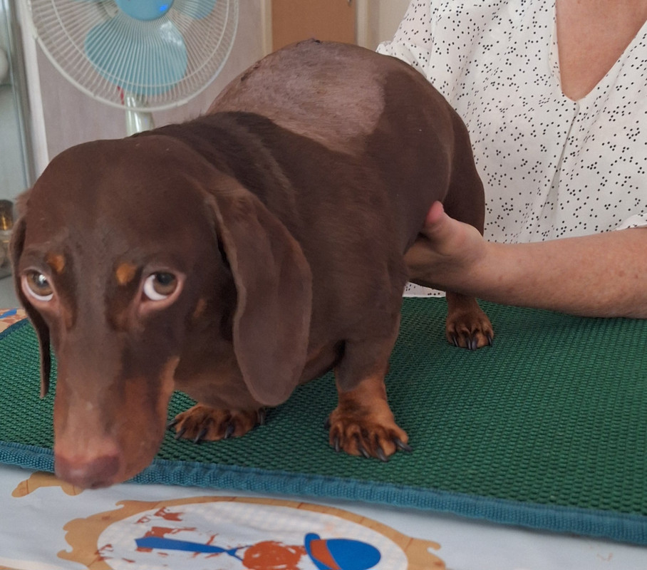 [Image: 20250821-151442.jpg]