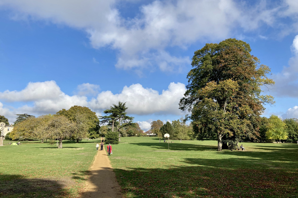 A72B278E-EFDF-4F35-B50E-486CDD9DA10D