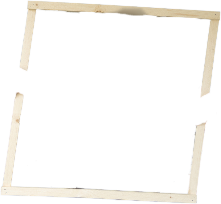 image_2023-12-08_113821995