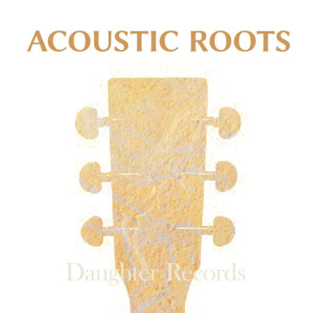 5a91daf5 95c4 4a16 96d4 bd99cdd9f281 - VA - Acoustic Roots (2023)