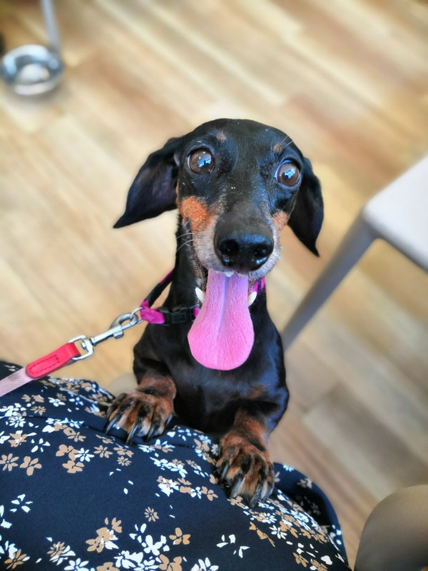 [Image: IMG-4353.jpg]