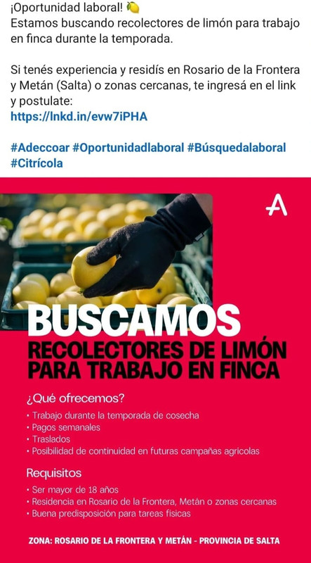 5c1ffbe5-97a8-4e08-b4f2-277cf361941b