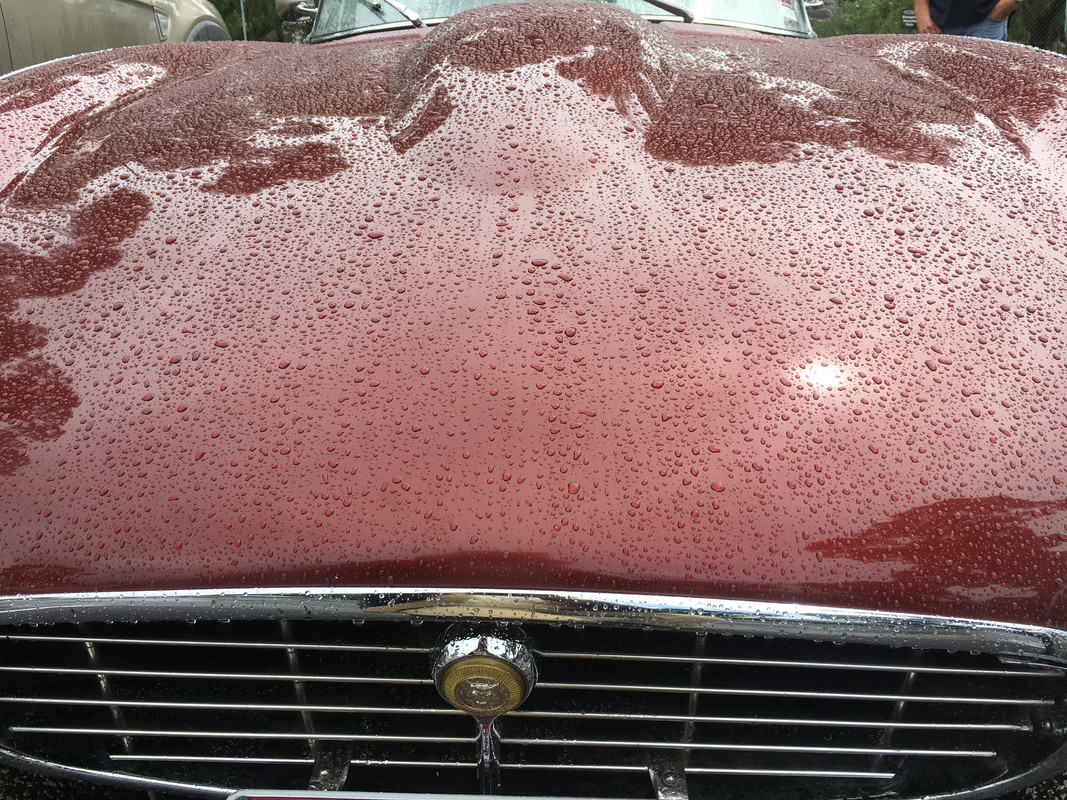 85C9B992-EB2A-4396-BAD1-8E2133F1A3F5