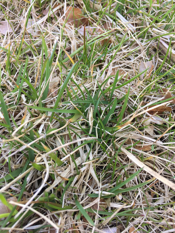 60A760C4-F68E-4DB5-A79B-A4823B30C27C