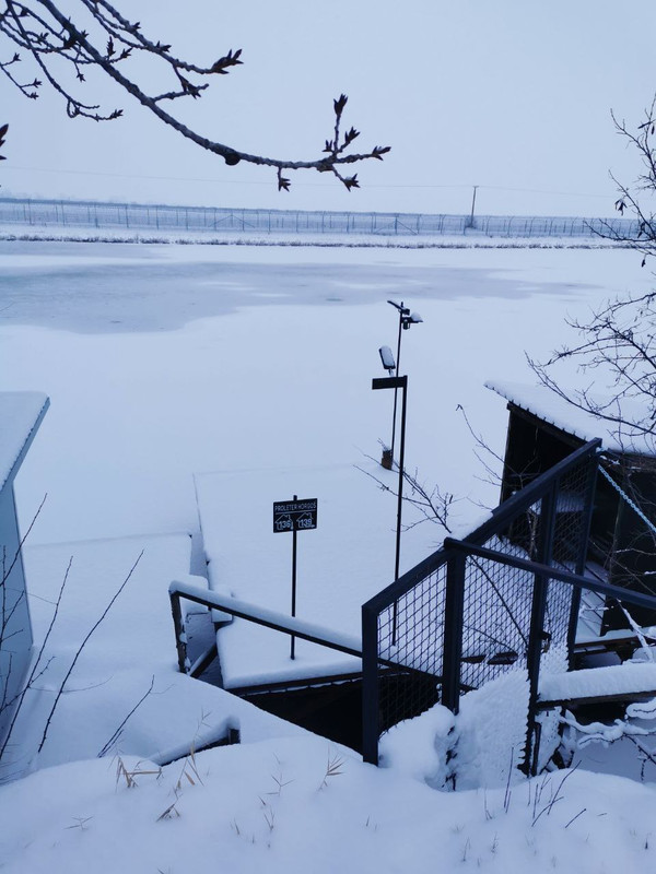 photo 2026 01 10 17 05 26