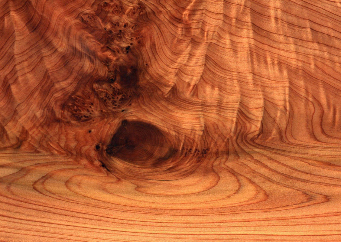 wood-texture-3dsmax (605)