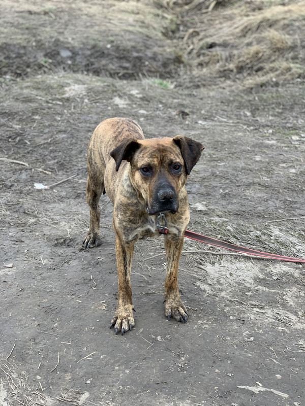 image-09-04-23-05-34-17 (1)