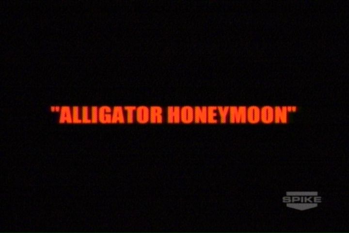 Alligator-Hooneymoon-Title.jpg