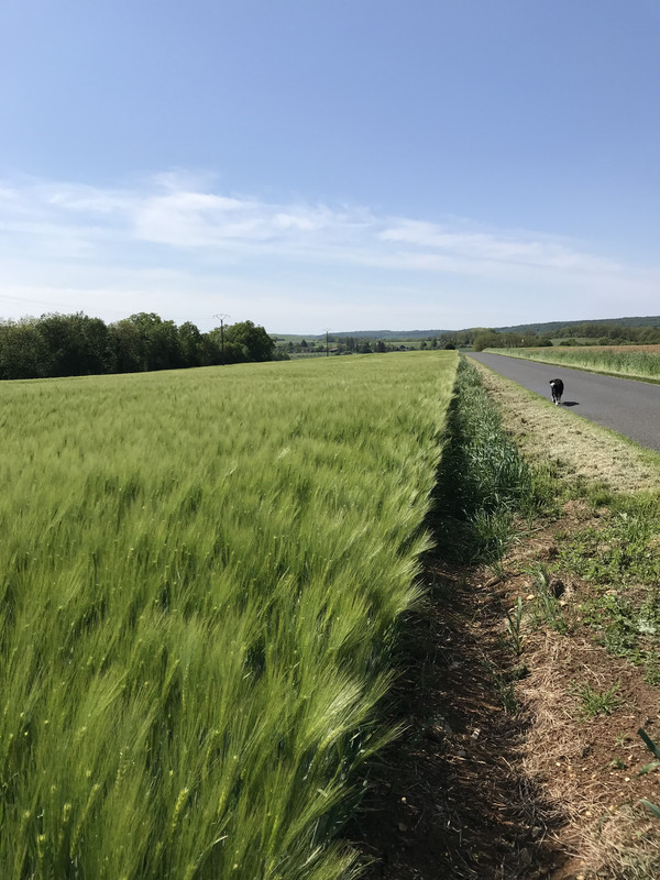 F4869886-7F93-4019-B651-D276189AAD24