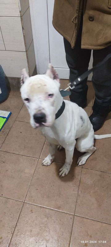 WhatsApp Image 2024-01-19 at 13.42.41 (2)