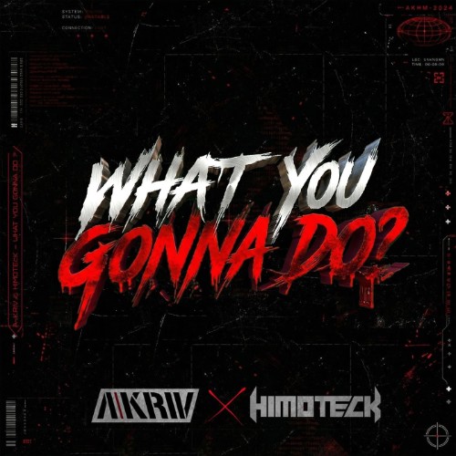 A-Kriv & Himoteck - What You Gonna Do (2026)