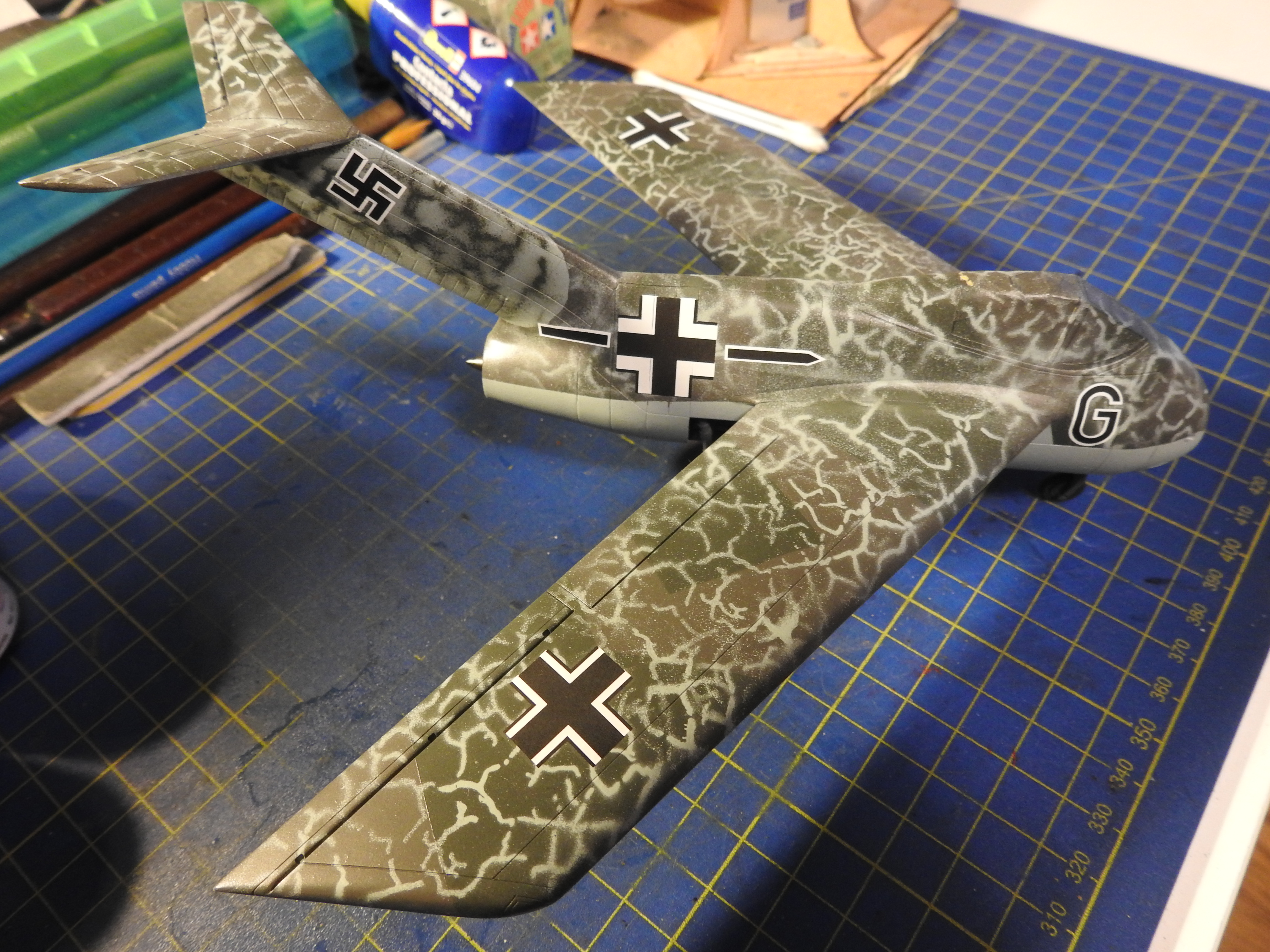 Focke Wulf Ta183A Huckebein Tamiya/AM, 1:48 DSCN9251